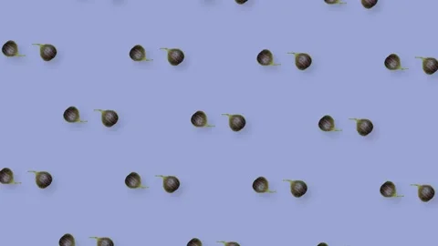 Colorful fruit pattern of fresh rotating figs on purple background. Seamless Stock Footage 167474980
