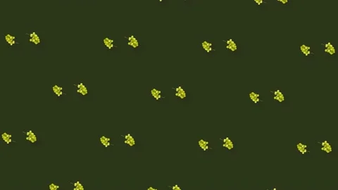 Colorful fruit pattern of fresh rotating grapes on green background. Seamless Stock Footage 167475188