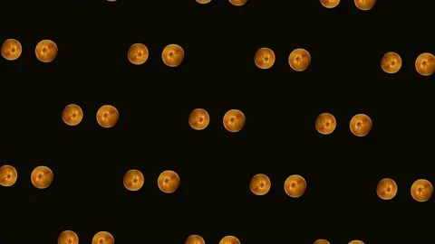 Colorful fruit pattern of fresh rotating grapefruits on black background Stock Footage 167475319