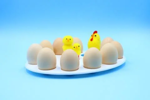 Colorful Funny Easter Composition Stock Photos