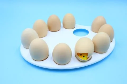 Colorful Funny Easter Composition Stock Photos