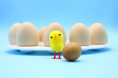 Colorful Funny Easter Composition Stock Photos