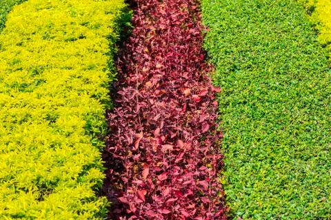 Colorful garden Stock Photos