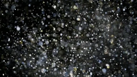 Colorful glitter flying being exploded Stock Footage 164231856