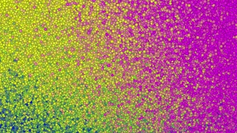 Colorful gradient particles background. Vidéo 165271461