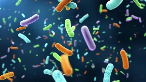Colorful group of E. coli and other bacteria, viruses Vidéo 344955187