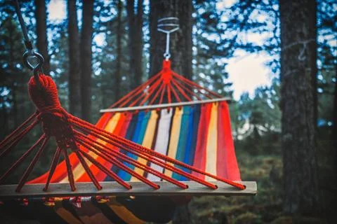 Colorful hammock hanging in the forest. Selective focus Stock Photos