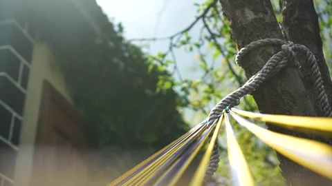 Colorful hammock rope strings hang on tree on a summer evening with sun ray Vídeo Stock 243939128