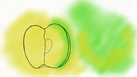 Colorful Hand-Drawn Apple and Pear Animation Stock Footage 334577228