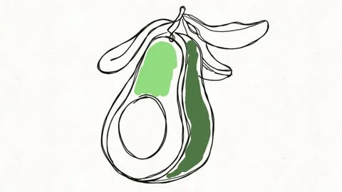 Colorful Hand-Drawn Avocado Animation Stock Footage 334577231