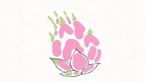 Colorful Hand-Drawn Dragon Fruit Animation | Tropical Fruit Illustration Loop Stock Footage 334577244