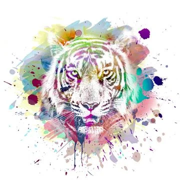 Colorful hand-drawn tiger muzzle, abstract colorful background Stock Illustration