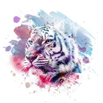 Colorful hand-drawn tiger muzzle, abstract colorful background Stock Illustration