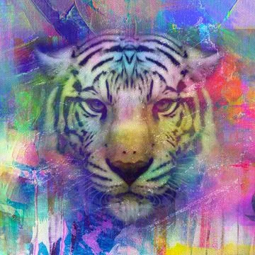 Colorful hand-drawn tiger muzzle, abstract colorful background Stock Illustration