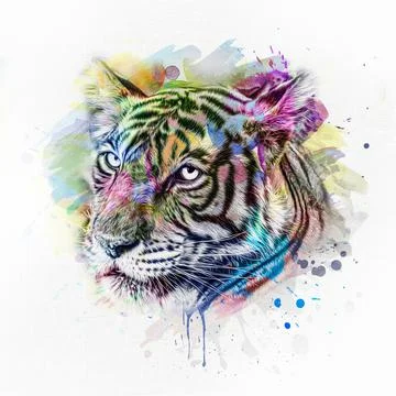 Colorful hand-drawn tiger muzzle, abstract colorful background Stock Illustration