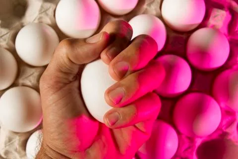 Colorful hand holding eggs carton or box showing shape,light and shadow patte Stock Photos