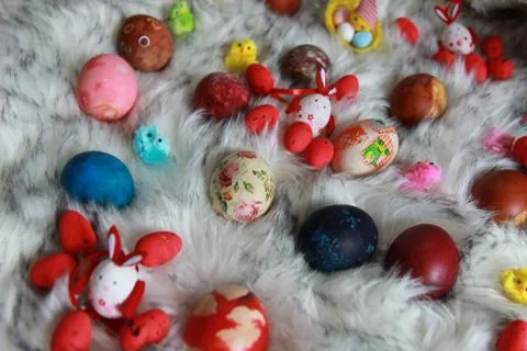 Colorful handmade Easter eggs displayed on white fur Stock Photos