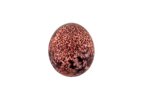 Colorful handmade easter eggs isolated on a white background Stock Photos