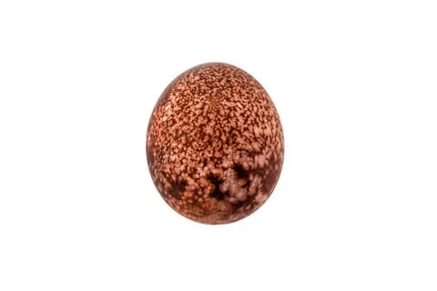 Colorful handmade easter eggs isolated on a white background Stock Photos