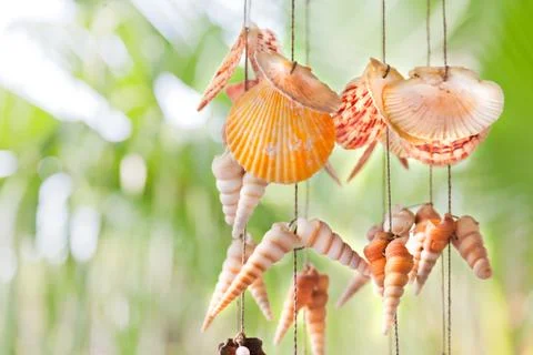 Colorful hanging shells Stock Photos