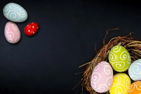 Colorful happy easter eggs in bird nest and tulips on dark empty slate stone  Stock Photos