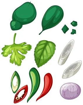 Colorful Herb and Spice Vector Illustration イラスト素材
