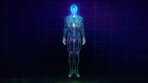 Colorful Human Body animation. Stock Footage