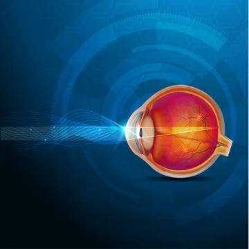Colorful human eye, normal sight abstract design Stock Illustration