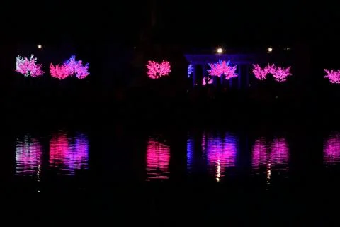 Colorful illuminated light trees reflected in the water at night in Retiro Park Stock Photos