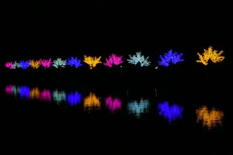 Colorful illuminated light trees reflected in the water at night in Retiro Park Stock Photos