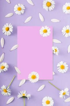 Colorful image featuring a square paper sheet for added text surrounded by vibra Stock-Fotos