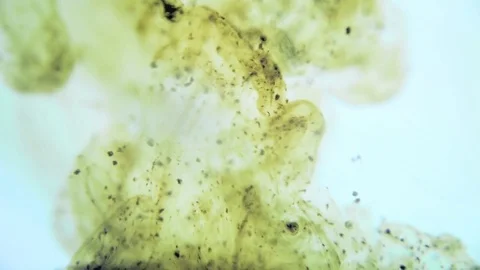 Colorful ink background Stock Footage 75397136