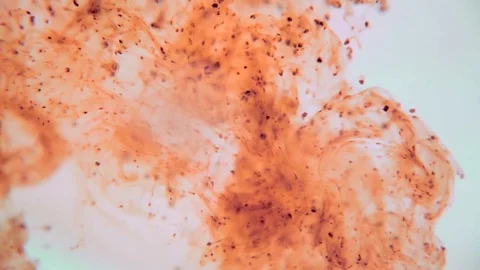 Colorful ink background Stock Footage 75397137