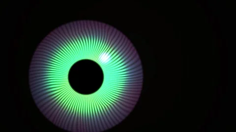 Colorful iris with black center. Stock Footage 335349175
