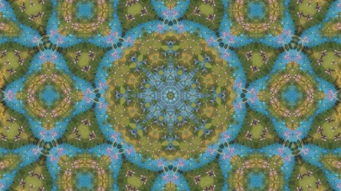 Colorful kaleidoscope pattern with floral elements creating a seamless visu.. Stock Footage 315146470