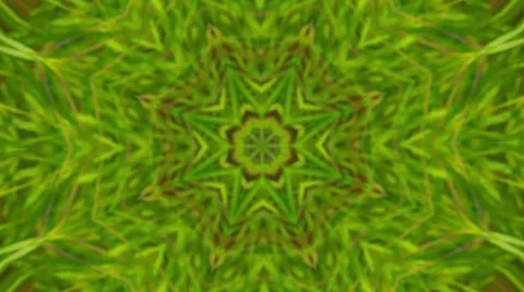 Colorful Kaleidoscopic Video Background Loop ,green natural abstract background Video stock 43263045