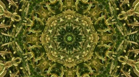 Colorful Kaleidoscopic Video Background Loop ,green natural abstract background Stock Footage 43263634