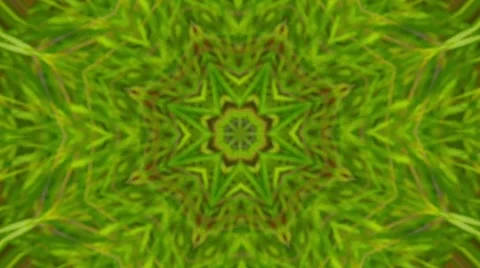 Colorful Kaleidoscopic Video Background Loop ,green natural abstract background Stock Footage 43263870