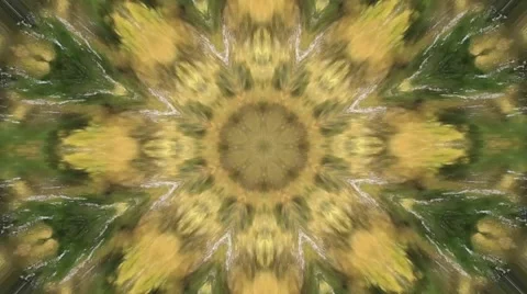 Colorful Kaleidoscopic Video Background Loop ,green natural abstract background Stock Footage 49900300