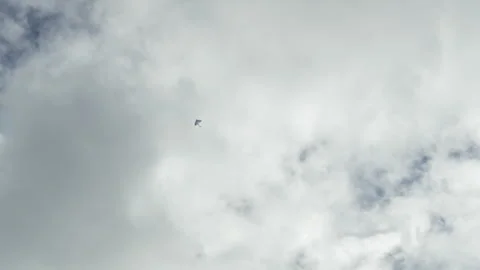 Colorful kite flying high in the cloudy sky Vídeo Stock 345049711