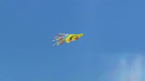 Colorful kite Stock Footage 201920461
