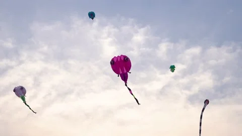 Colorful kite gracefully soaring through the air during a picturesque sunset Stock Footage 237700975