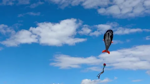 Colorful kite soaring through the sky, showcasing dynamic movement and vibrant Stock Footage 315437148