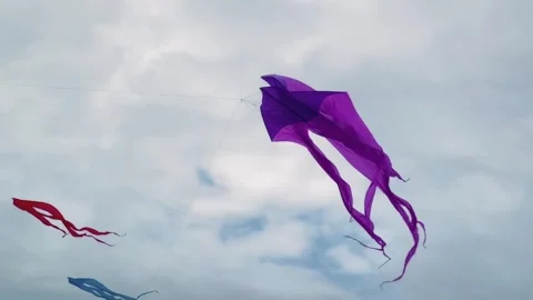 Colorful kites are flying in the cloudy sky during summer outdoor festival Stock Footage 335049512