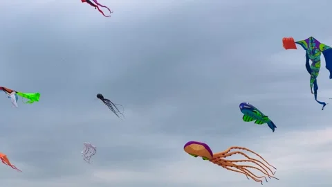Colorful kites are flying in the cloudy sky during summer outdoor festival Stock Footage 340444050