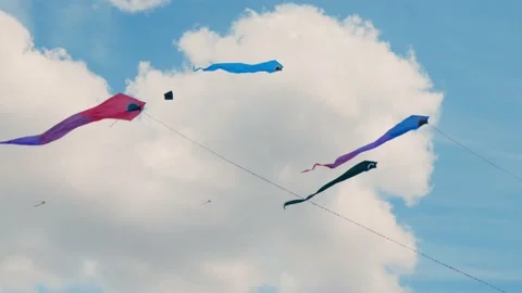 Colorful kites flying in the sky Stock Footage 239771069