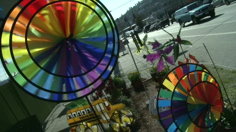 Colorful Kites Video stock 685472