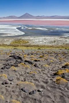 Colorful lagoon. Landscape of the Salar de Uyuni and lagoons like Laguna Ve.. Stock Photos