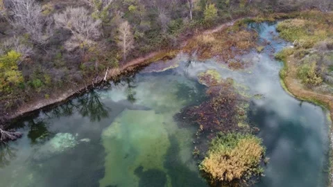 Colorful lake covered in algae Stock Footage 168552464