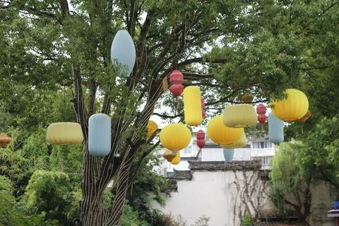Colorful lanterns hanging from leafy tree branches above a quiet outdoor ga.. Stock Photos